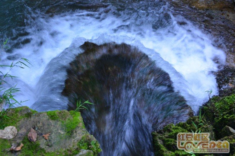 动物帮帮忙保卫家园