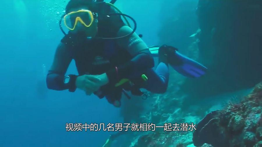 碧海银滩看厦门|红林碧水鱼翔跃 下潭尾因地制宜变身“城市绿肺”