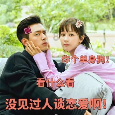 除虫大师