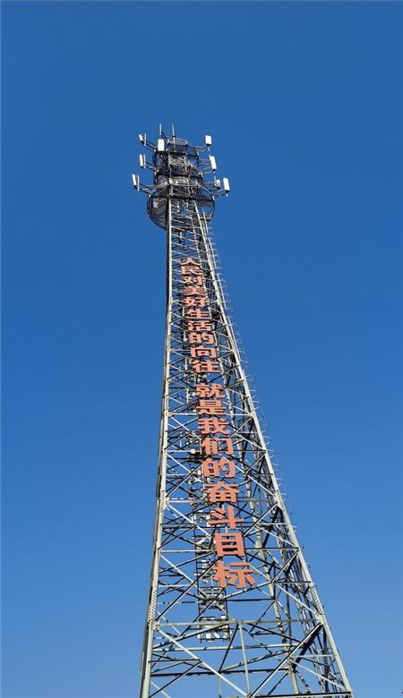 夏季纽扣裙