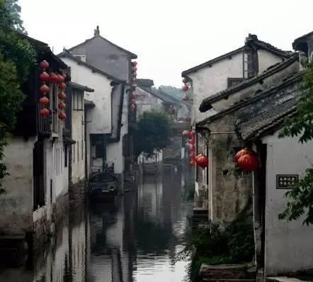 逗小猴开心系列207
