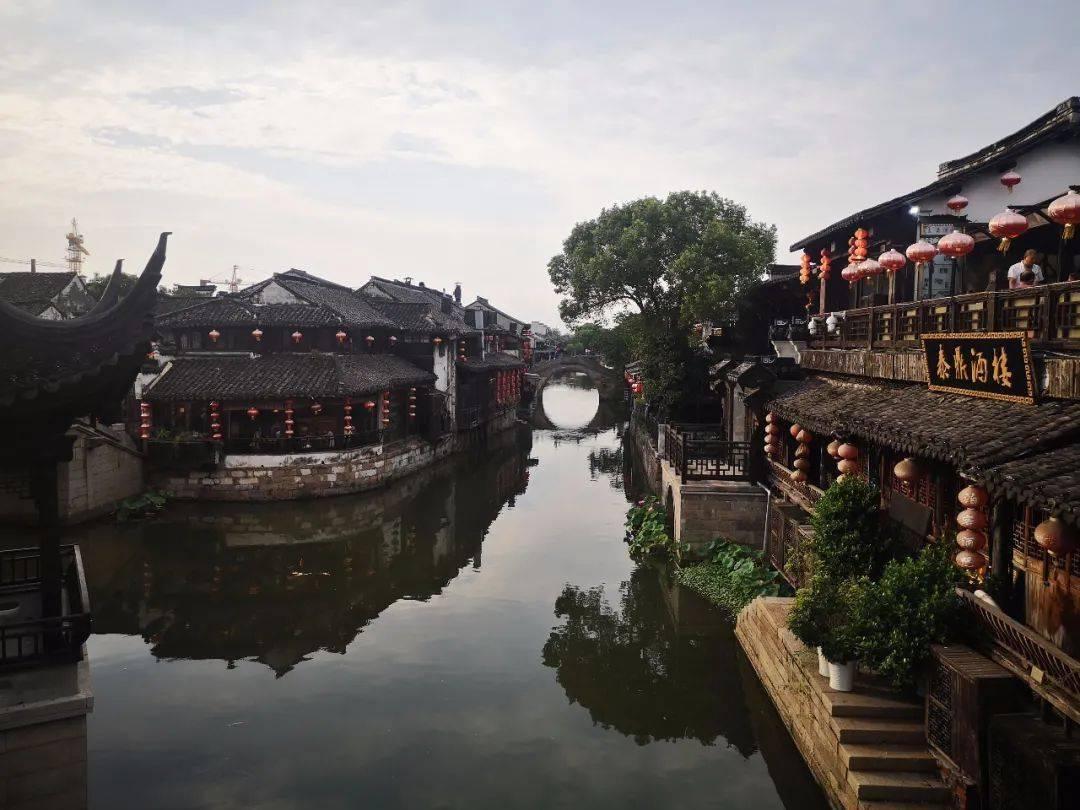 救援小袋熊
